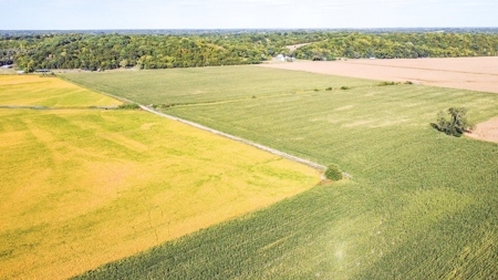 Highly Tillable Row Crop Farm in Missouri River Bottom - image 3