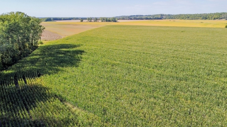 Highly Tillable Row Crop Farm in Missouri River Bottom - image 6
