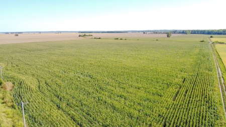 Highly Tillable Row Crop Farm in Missouri River Bottom - image 17