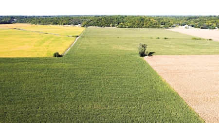Highly Tillable Row Crop Farm in Missouri River Bottom - image 10