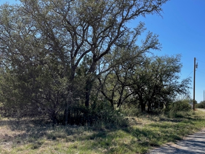 Home Lot in Kings Point Cove Resort Brownwood Brown Texas - image 20