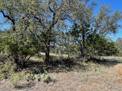 Home Lot in Kings Point Cove Resort Brownwood Brown Texas - image 26