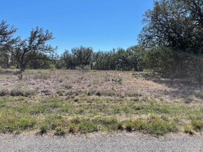 Home Lot in Kings Point Cove Resort Brownwood Brown Texas - image 18
