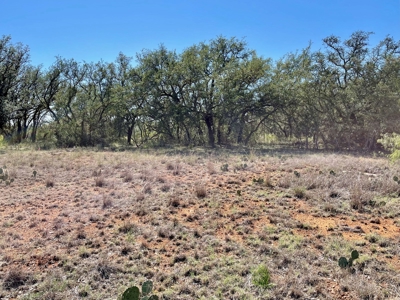 Home Lot in Kings Point Cove Resort Brownwood Brown Texas - image 25