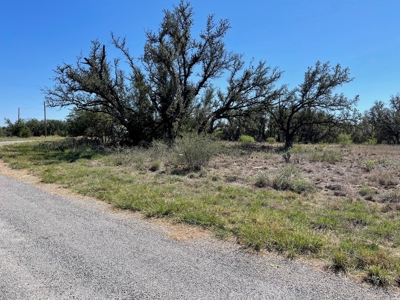 Home Lot in Kings Point Cove Resort Brownwood Brown Texas - image 19