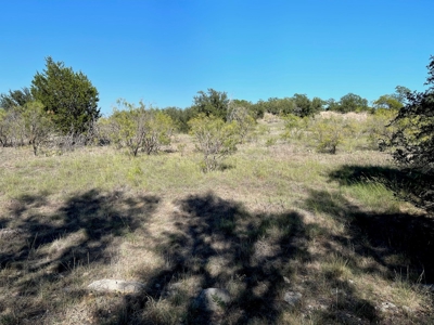 Investment Lot in Kings Point Cove Resort Brownwood Brown TX - image 1