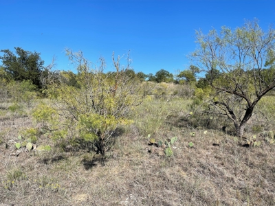 Investment Lot in Kings Point Cove Resort Brownwood Brown TX - image 11