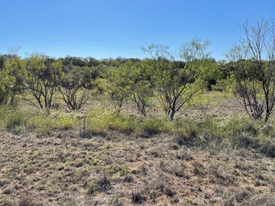 Investment Lot in Kings Point Cove Resort Brownwood Brown TX - image 14