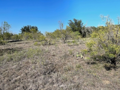 Investment Lot in Kings Point Cove Resort Brownwood Brown TX - image 10