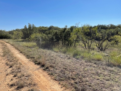 Investment Lot in Kings Point Cove Resort Brownwood Brown TX - image 15