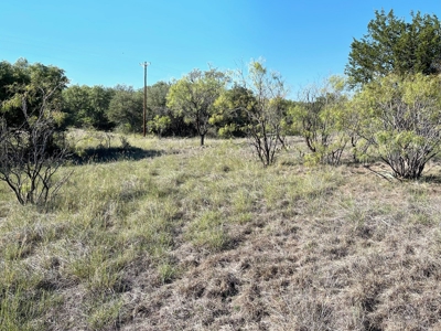 Investment Lot in Kings Point Cove Resort Brownwood Brown TX - image 9