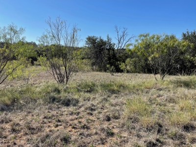 Investment Lot in Kings Point Cove Resort Brownwood Brown TX - image 13