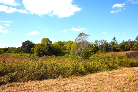 One Mile river Frontage, Building Sites, Hunting, Recreation - image 27