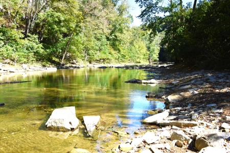 One Mile river Frontage, Building Sites, Hunting, Recreation - image 10