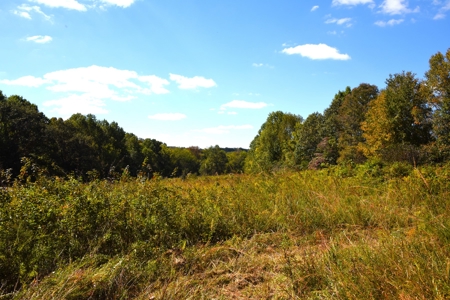 One Mile river Frontage, Building Sites, Hunting, Recreation - image 28