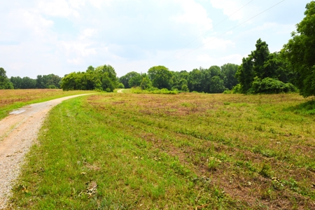 One Mile river Frontage, Building Sites, Hunting, Recreation - image 42