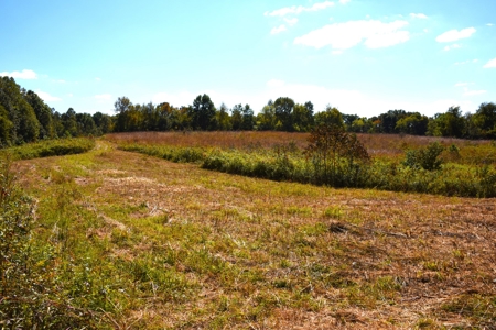 One Mile river Frontage, Building Sites, Hunting, Recreation - image 24