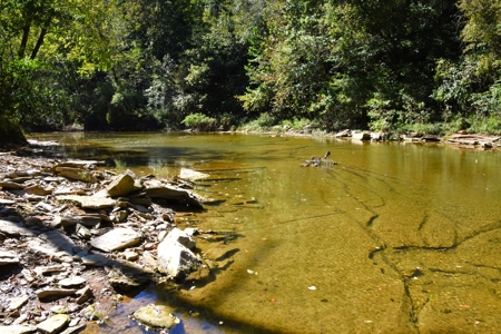 One Mile river Frontage, Building Sites, Hunting, Recreation - image 12