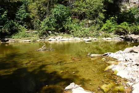 One Mile river Frontage, Building Sites, Hunting, Recreation - image 8