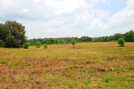 One Mile river Frontage, Building Sites, Hunting, Recreation - image 1