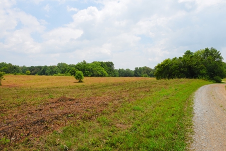 One Mile river Frontage, Building Sites, Hunting, Recreation - image 46