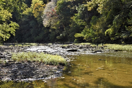 One Mile river Frontage, Building Sites, Hunting, Recreation - image 35