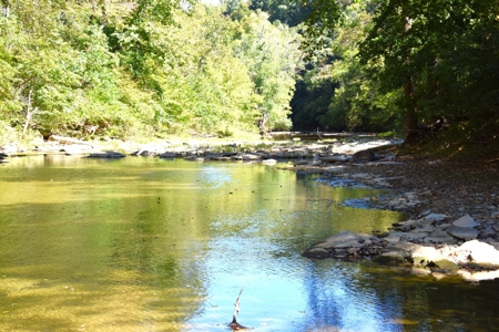 One Mile river Frontage, Building Sites, Hunting, Recreation - image 11