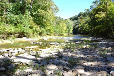One Mile river Frontage, Building Sites, Hunting, Recreation - image 15