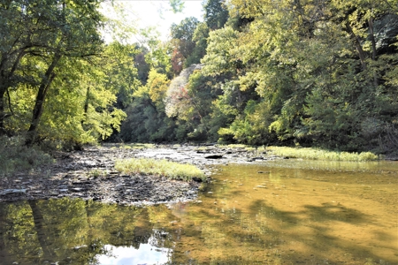 One Mile river Frontage, Building Sites, Hunting, Recreation - image 34