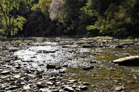 One Mile river Frontage, Building Sites, Hunting, Recreation - image 37