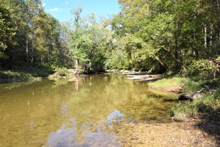 One Mile river Frontage, Building Sites, Hunting, Recreation - image 33