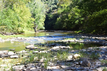 One Mile river Frontage, Building Sites, Hunting, Recreation - image 16