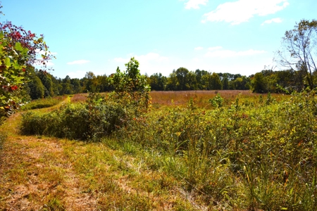 One Mile river Frontage, Building Sites, Hunting, Recreation - image 22