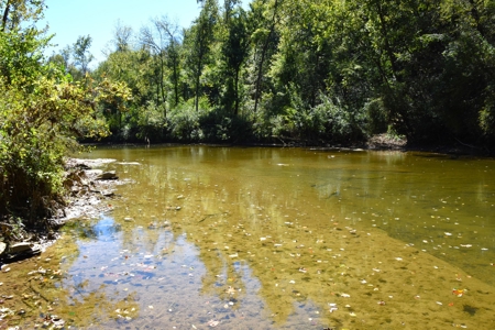 One Mile river Frontage, Building Sites, Hunting, Recreation - image 3