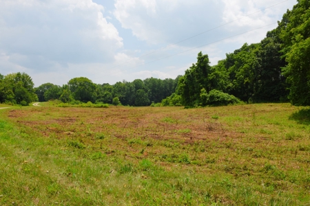 One Mile river Frontage, Building Sites, Hunting, Recreation - image 44