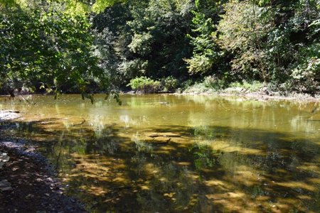 One Mile river Frontage, Building Sites, Hunting, Recreation - image 7