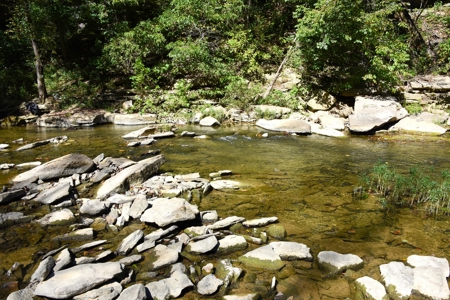 One Mile river Frontage, Building Sites, Hunting, Recreation - image 17