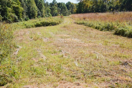 One Mile river Frontage, Building Sites, Hunting, Recreation - image 23