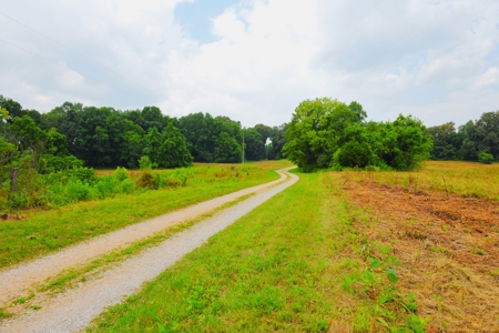One Mile river Frontage, Building Sites, Hunting, Recreation - image 4