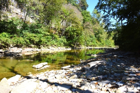 One Mile river Frontage, Building Sites, Hunting, Recreation - image 9