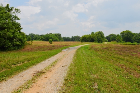 One Mile river Frontage, Building Sites, Hunting, Recreation - image 43
