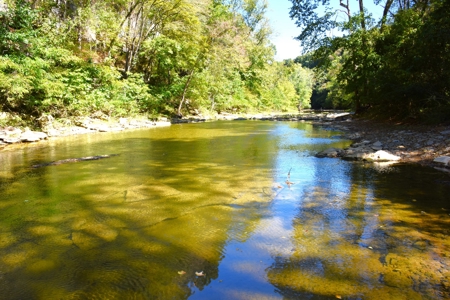 One Mile river Frontage, Building Sites, Hunting, Recreation - image 13