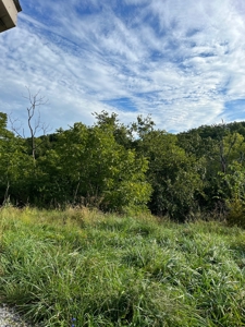 Southeast Indiana Home for Sale | Dillsboro, Indiana - image 19