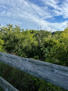Southeast Indiana Home for Sale | Dillsboro, Indiana - image 18