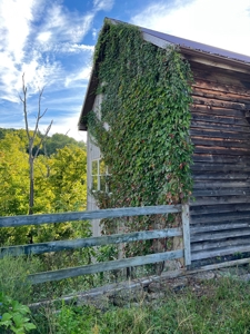 Southeast Indiana Home for Sale | Dillsboro, Indiana - image 11
