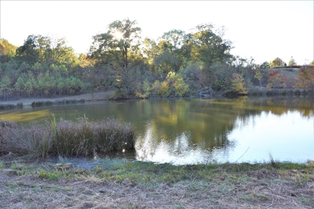 Farm - Cropland - Hunting - Home Sites - image 24