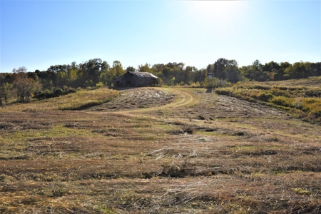 Farm - Cropland - Hunting - Home Sites - image 14
