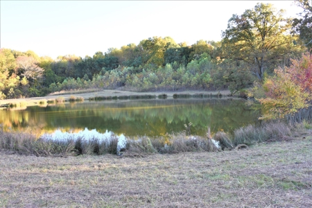 Farm - Cropland - Hunting - Home Sites - image 27