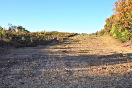 Farm - Cropland - Hunting - Home Sites - image 28
