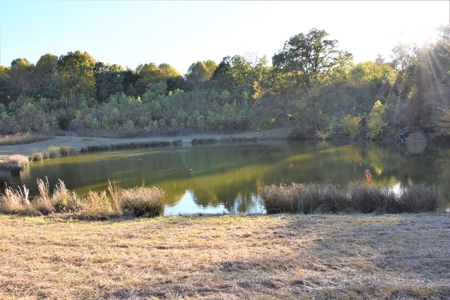 Farm - Cropland - Hunting - Home Sites - image 23